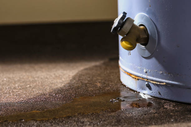  West Hill, OH Water damage restoration Pros