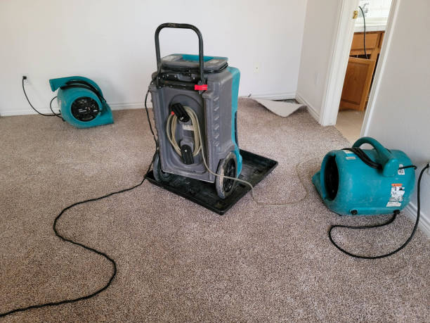 Best Water damage restoration near me  in West Hill, OH