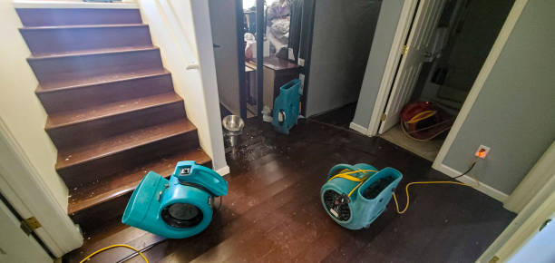 Best Local water damage restoration  in West Hill, OH