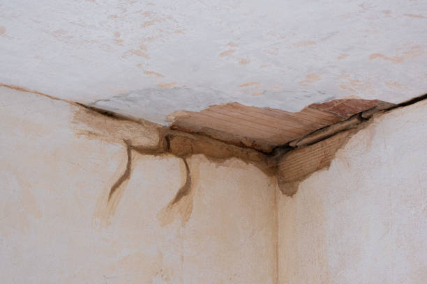 Carpet water damage restoration in West Hill, OH