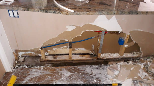 Best Water damage restoration experts  in West Hill, OH
