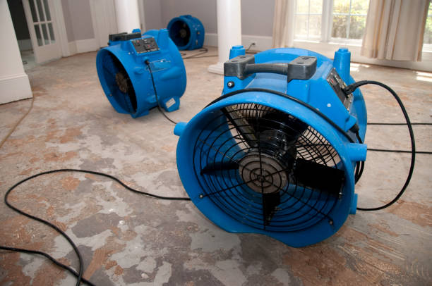 Best Ceiling water damage repair  in West Hill, OH