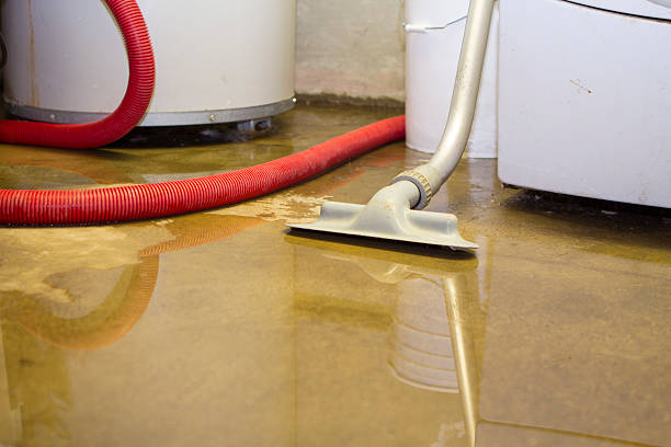 Best Flooded house restoration  in West Hill, OH