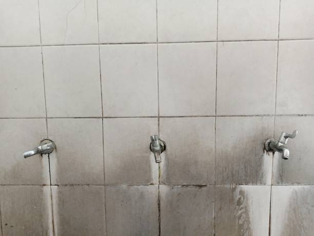 Best Flooded house restoration  in West Hill, OH