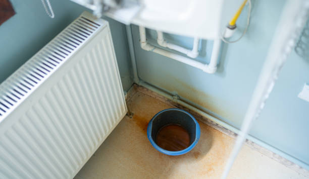 Best Ceiling water damage repair  in West Hill, OH