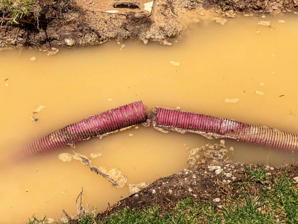 Best 24-hour water damage restoration  in West Hill, OH